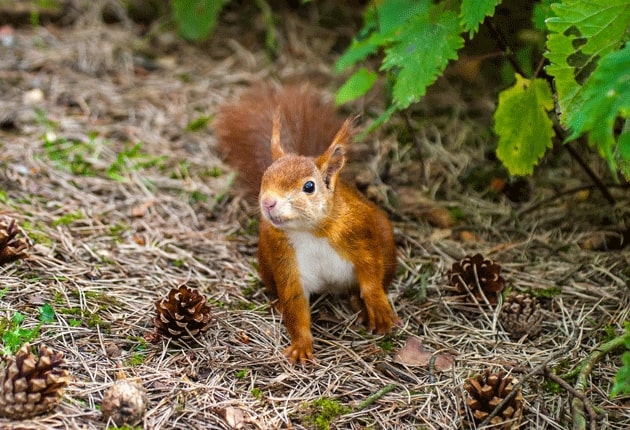 Formby Nature reserve